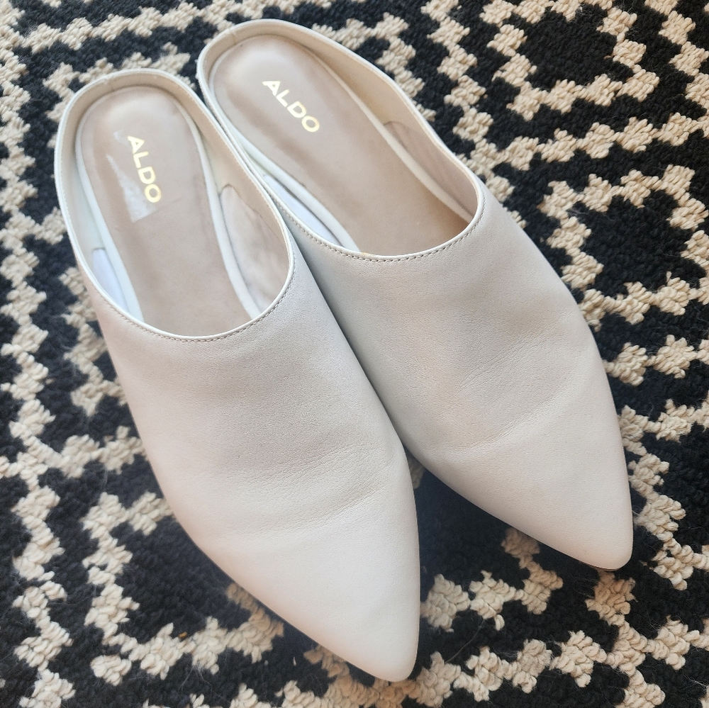 NWOT Aldo pointed toe shoes